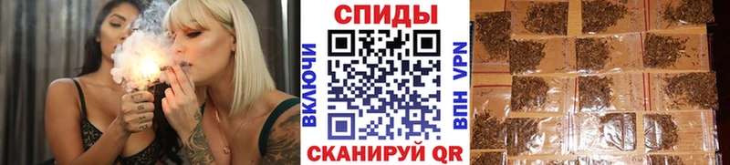 Купить где  Кораблино  БУТИРАТ буратино 