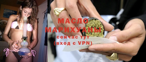 шишки Инта