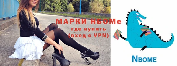 шишки Инта