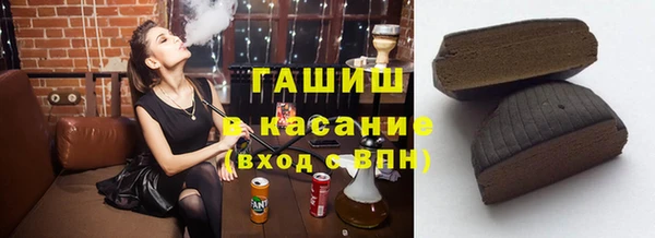 шишки Инта