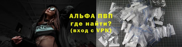 гашик Иннополис