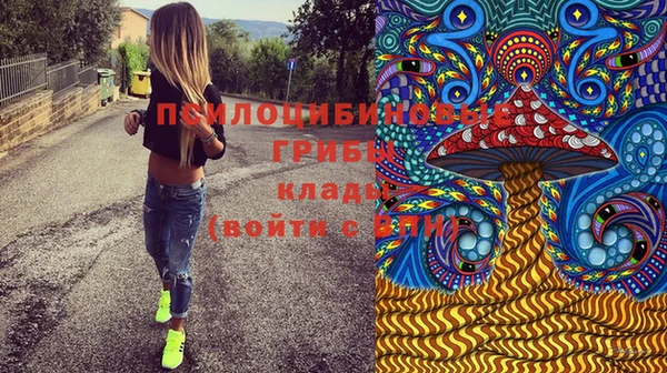 гашик Иннополис