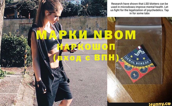 шишки Семилуки