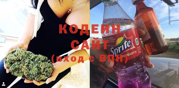 шишки Инта