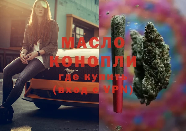 шишки Инта