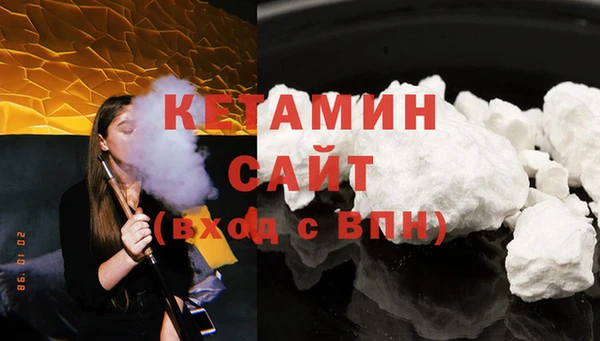 шишки Инта