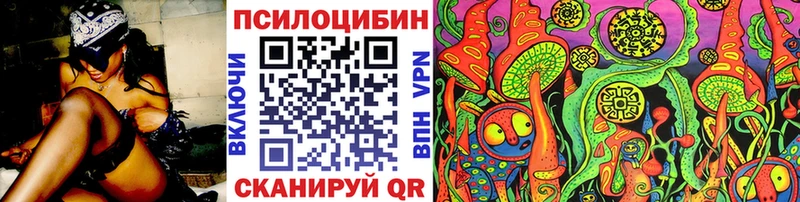 Псилоцибиновые грибы Cubensis  Купить  Кораблино 